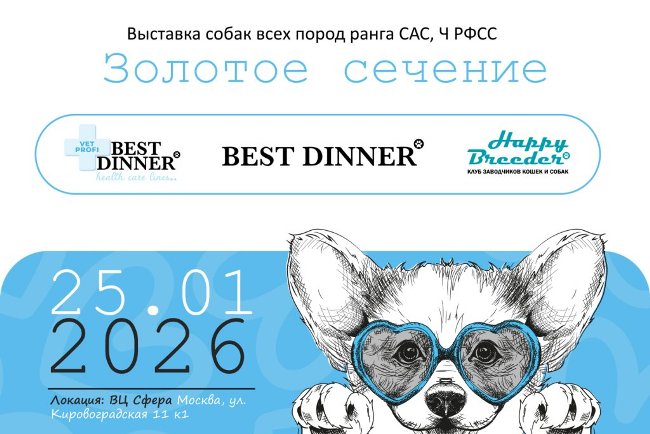 ���� ������